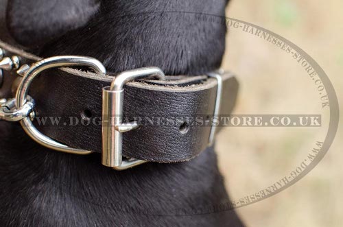 Leather Dog Collars for Dobermans