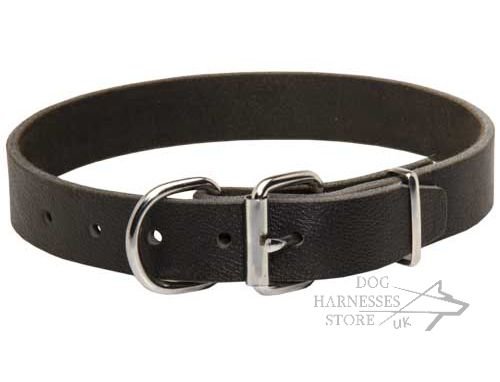 Leather Dog Collars for Sale