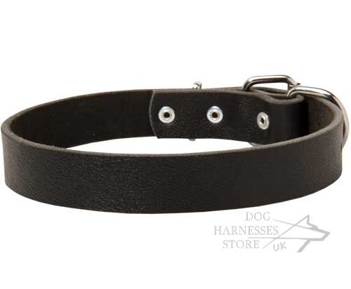 Leather Dog Collars