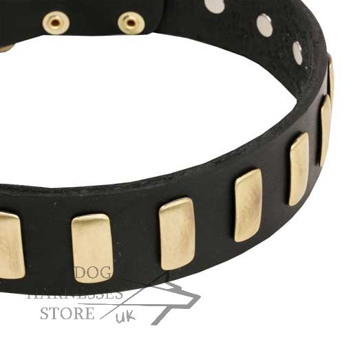 Leather Dog Collar