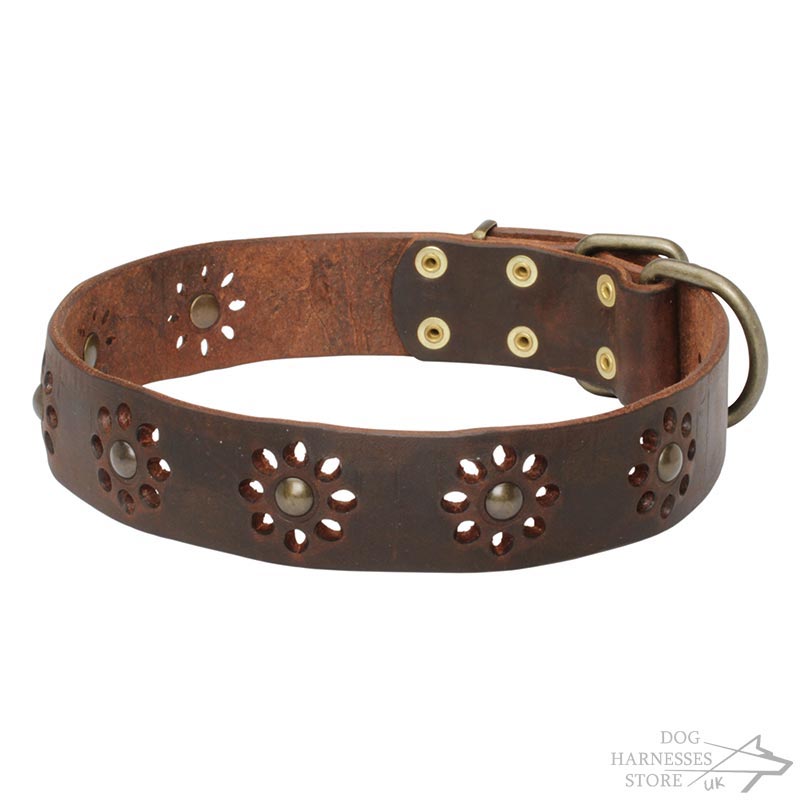 cute leather dog collars