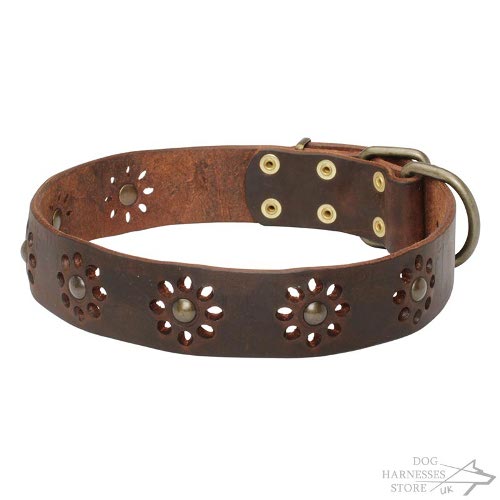 Flower Designer Dog Collar