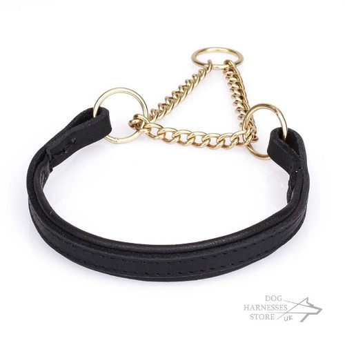 Leather Martingale Collar UK