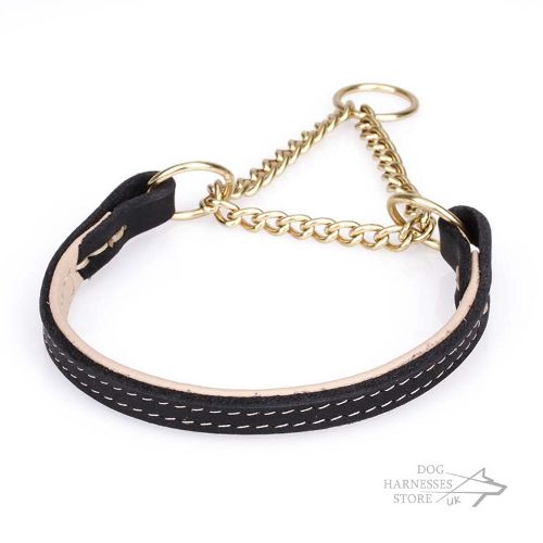 Leather Martingale Collar UK