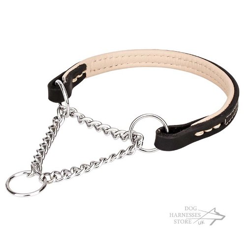 Leather Martingale Collar UK