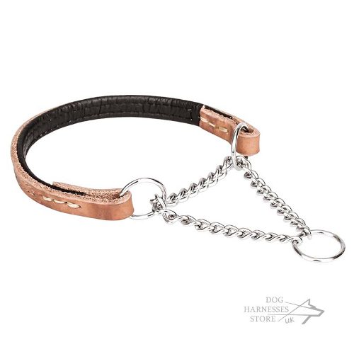 Leather Martingale Dog Collars UK