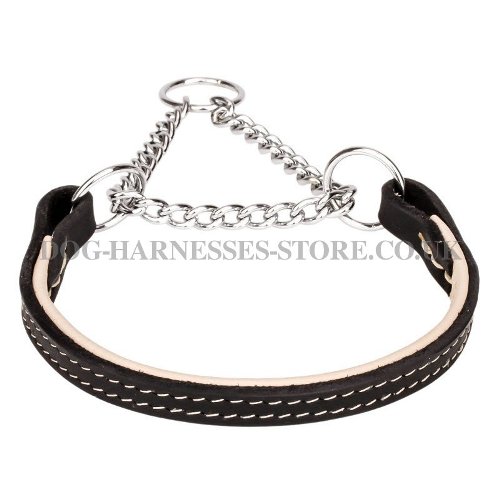 Leather Martingale Dog Collars UK