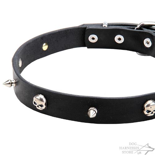 Leather Skull Dog Collar