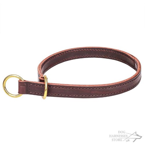 Leather Slip Collar for Dogs