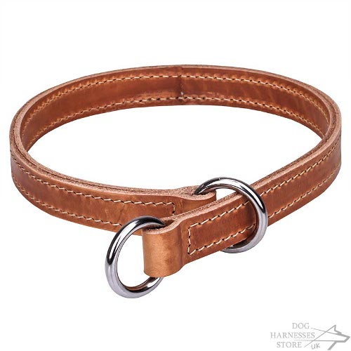 Leather Slip Collar