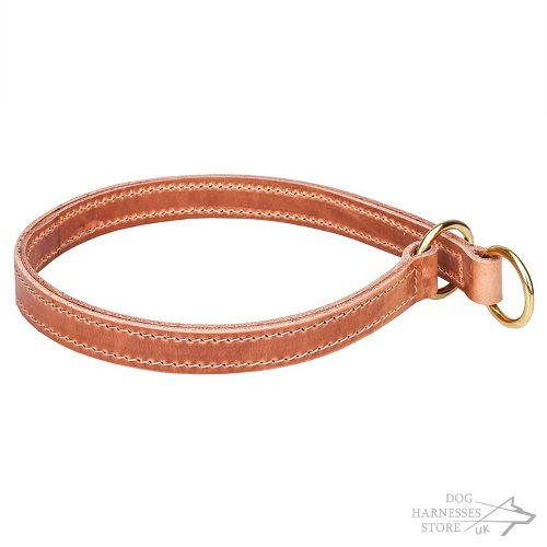 Leather Slip Collar