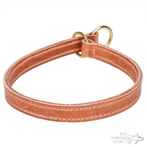 Leather Slip Dog Collar