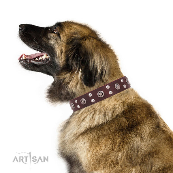 Leonberger Leather Dog Collars