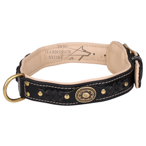 Luxury Dog Collar