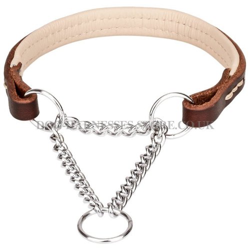 Martingale Leather Collars for Dogs