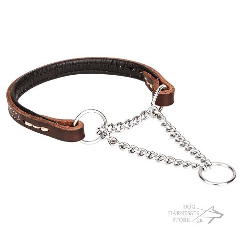 Martingale Leather Collars for Dogs