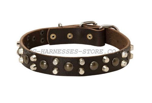 Modern Leather Dog Collar