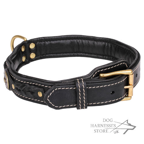 Fancy Dog Collar