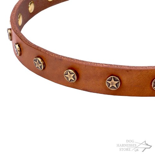 Narrow Leather Dog Collar, Stars