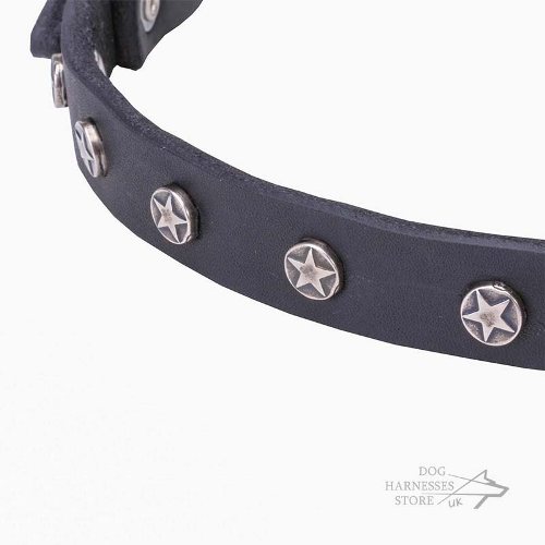 Narrow Leather Dog Collar