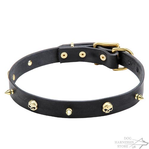 Skull Dog Collar UK