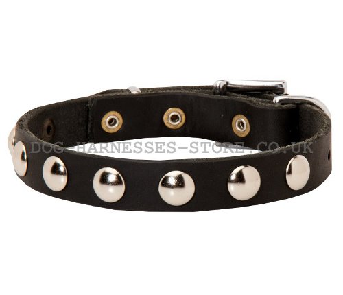 Narrow Leather Dog Collars