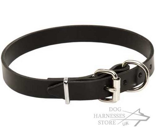 Narrow Leather Dog Collars