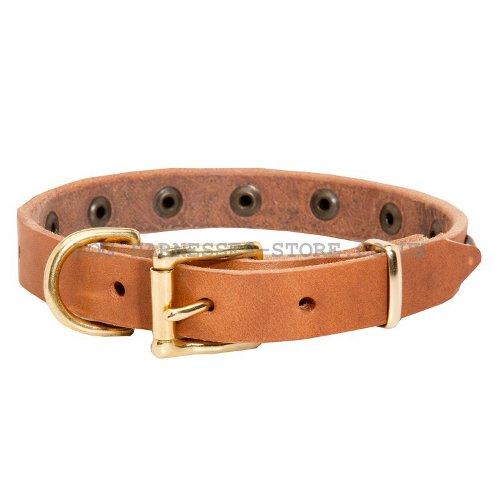 Narrow Width Dog Collars