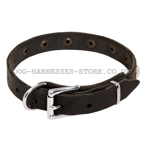 Narrow Width Dog Collars