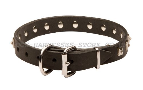 Narrow Width Dog Collars