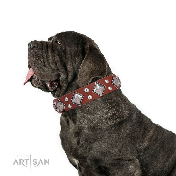 Neapolitan Mastiff Collars for Sale