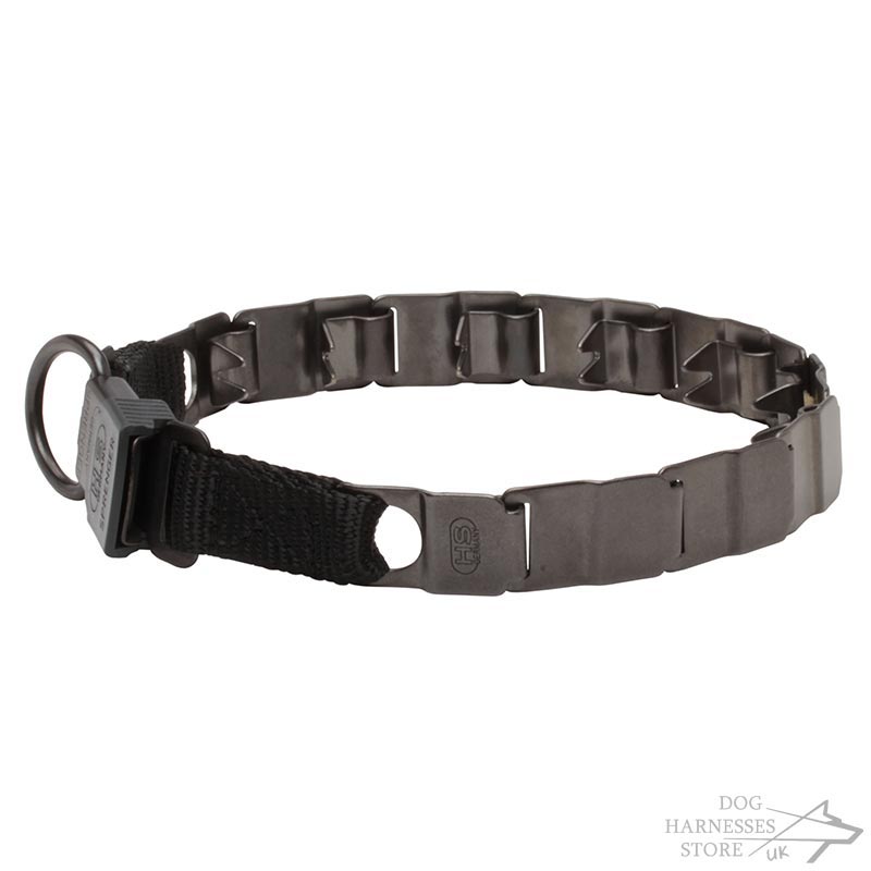 Prong collar for sale sales