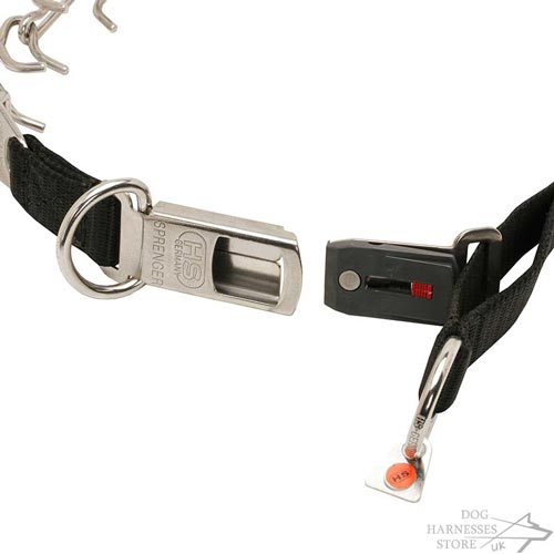 Dog Prong Collar