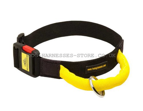 Dog Collar with Handle UK