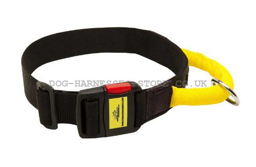 Dog Collar with Grab Handle