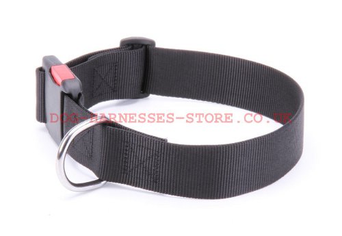 Nylon Dog Collar UK