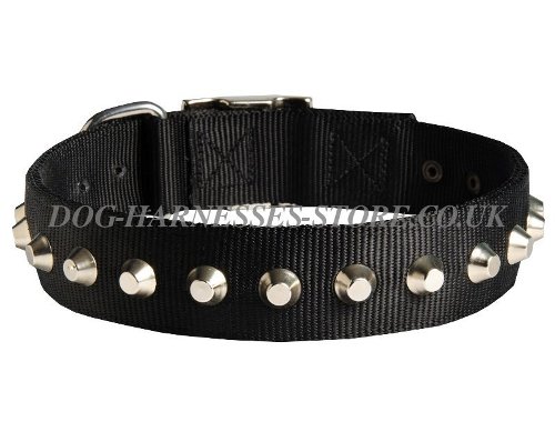 Nylon Dog Collar UK, Decorated