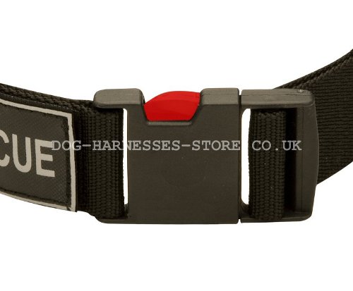 Nylon Dog Collar UK