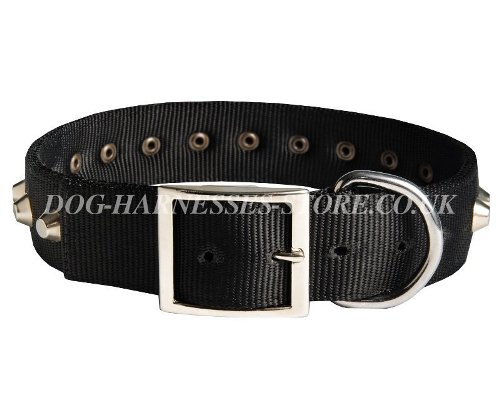 Nylon Dog Collars UK, Decorative