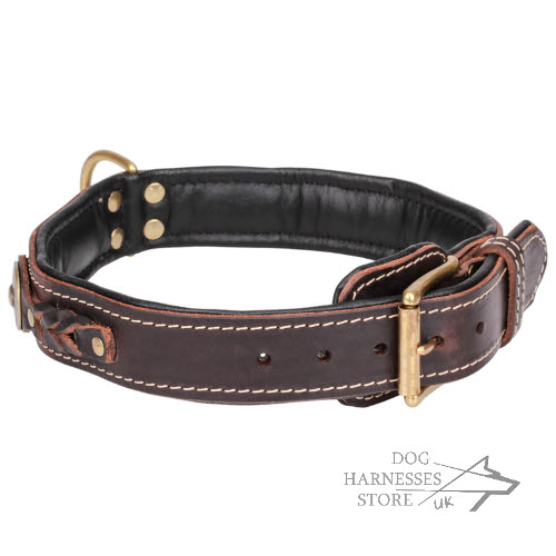 Padded Dog Collar