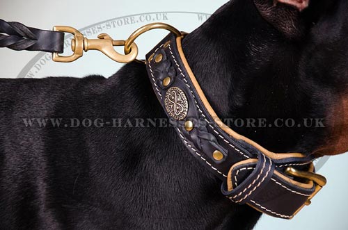 Doberman Collar