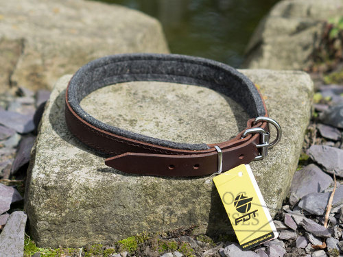 Padded Dog Collar UK