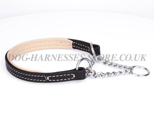 Padded Half-Check Dog Collar