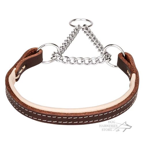Padded Leather Martingale Collar