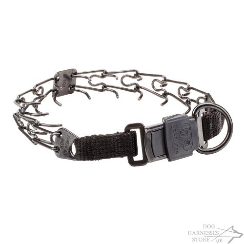 Pinch Dog Collars Training