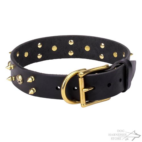 Punk Rock Dog Collar