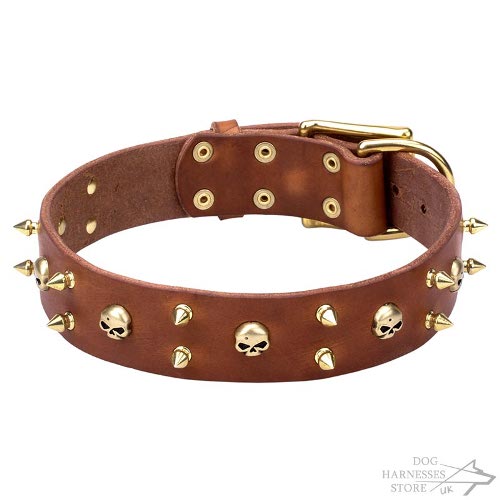 Punk Style Dog Collar