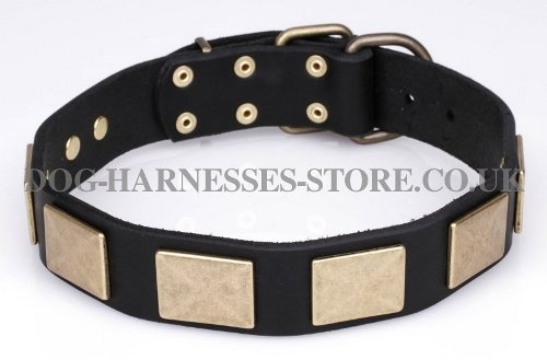 Quality Dog Collars