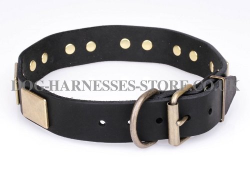 Quality Leather Dog Collars