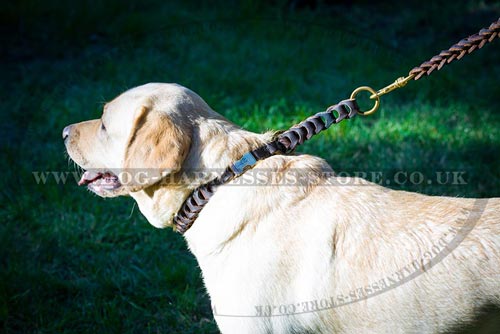 Quick Release Leather Dog Collar